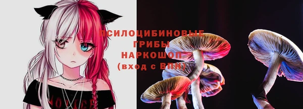 прущие грибы Беломорск