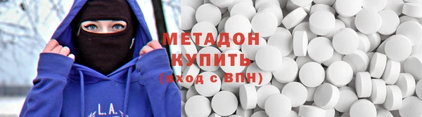 прущие грибы Беломорск