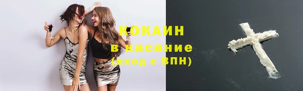 молекула духа Белокуриха