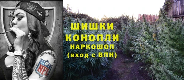 прущие грибы Беломорск