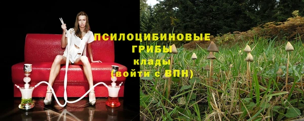 прущие грибы Беломорск