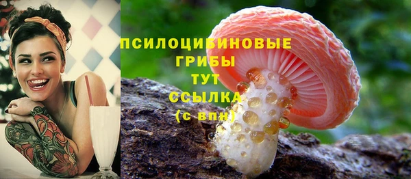 прущие грибы Беломорск