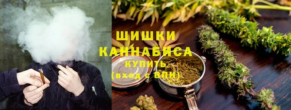 прущие грибы Беломорск